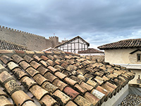 Cubierta de teja curva en Parque temático de Toledo.<br>Cubierta de teja. Panel sándwich y teja